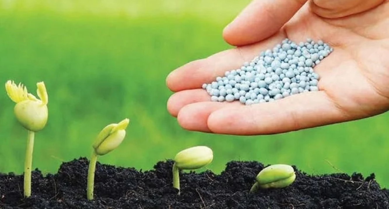 Maintaining fertilizer market stability amid global fluctuation